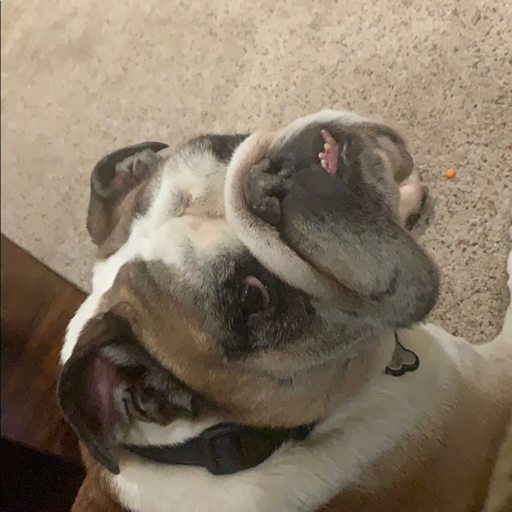 Meet your Posher, Rebecca